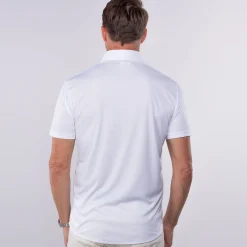 Quattro Flex Short Sleeve Button Down-Collars & Co Outlet